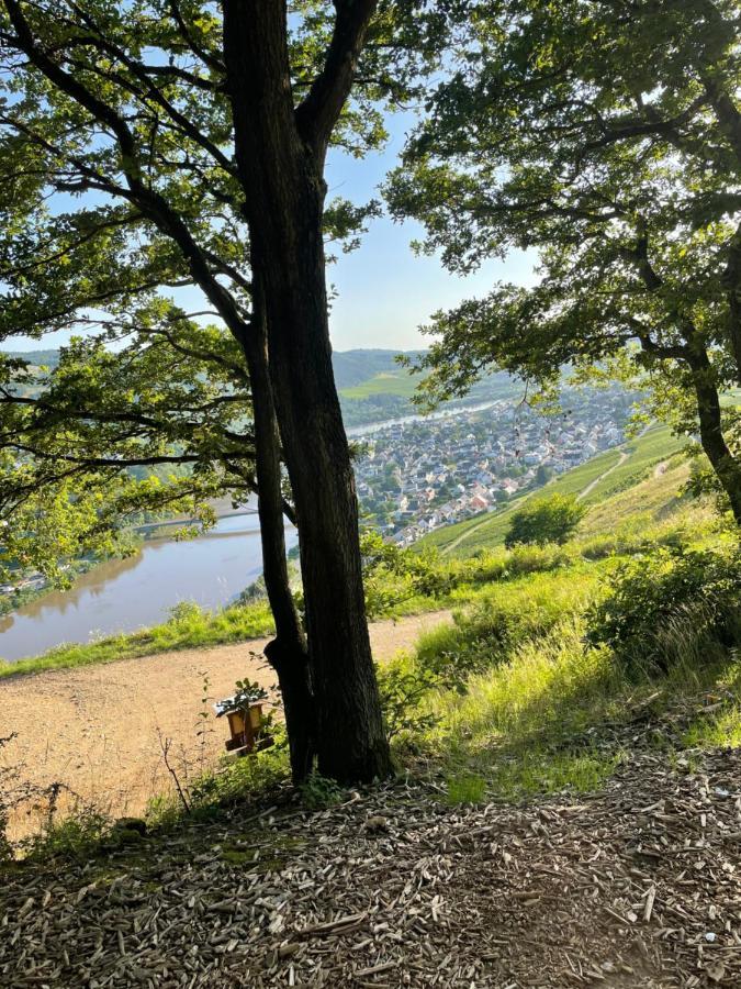 Ferienwohnung Paula Schweich Esterno foto
